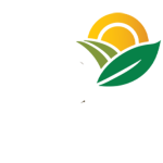 Ethiopian Agricultural Transformation Institute
